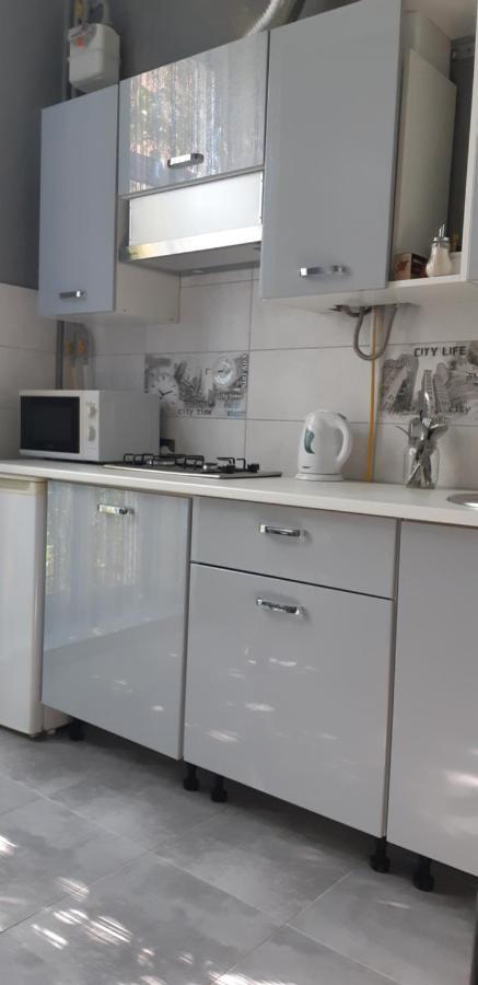 Apartment On Soborna 91 ヴィーンヌィツャ エクステリア 写真